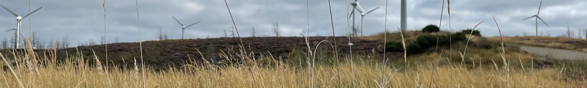 Wind turbine on hill in field